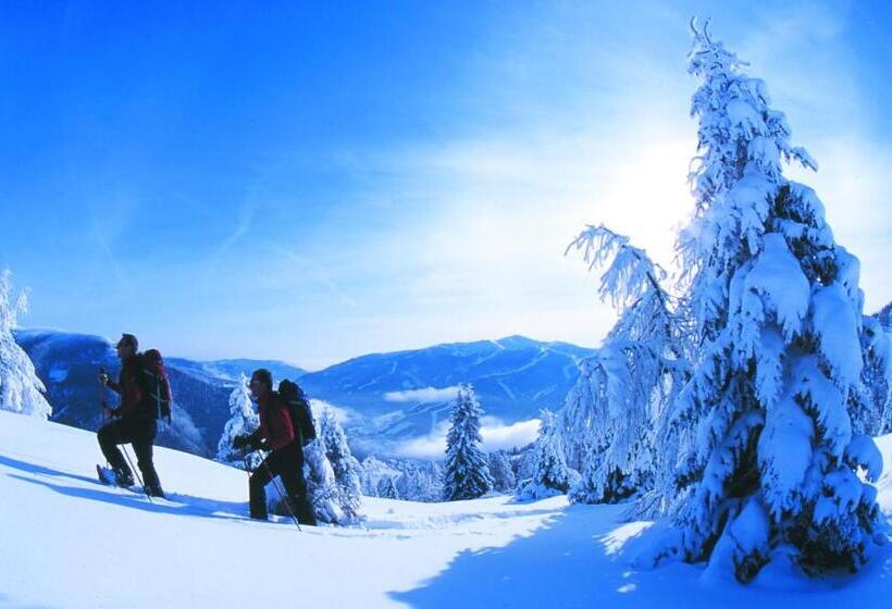 Отель Haus Anni