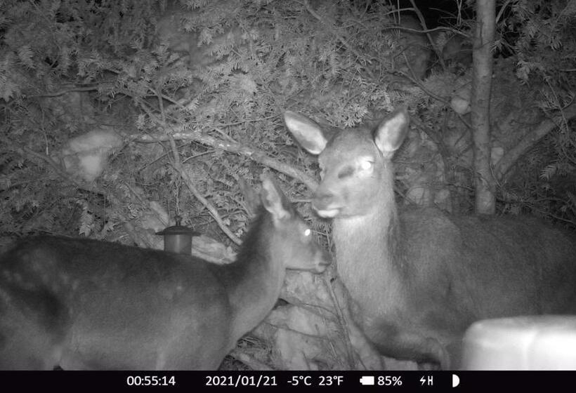 Отель Haus Anni