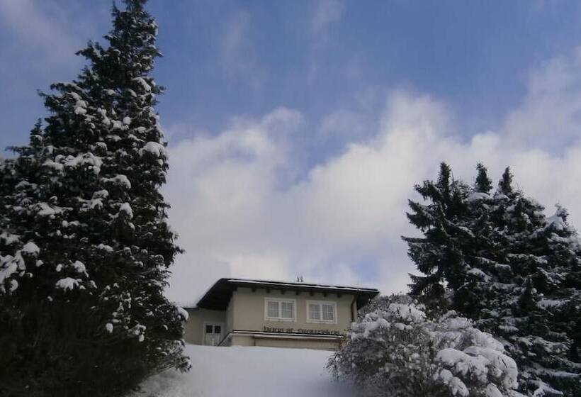 هتل Haus Franziskus