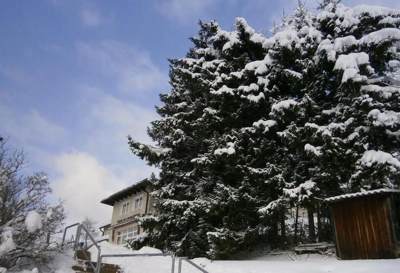 هتل Haus Franziskus