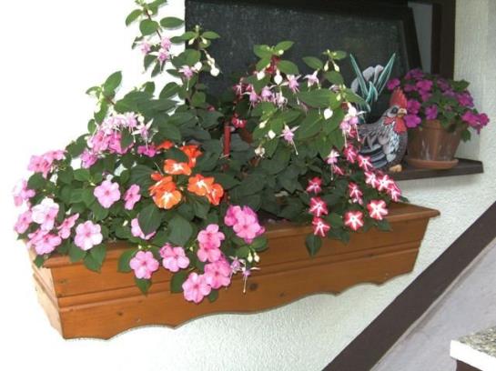 ホテル Haus Markus