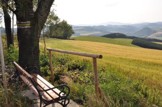 בית מלון כפרי Holzgethan