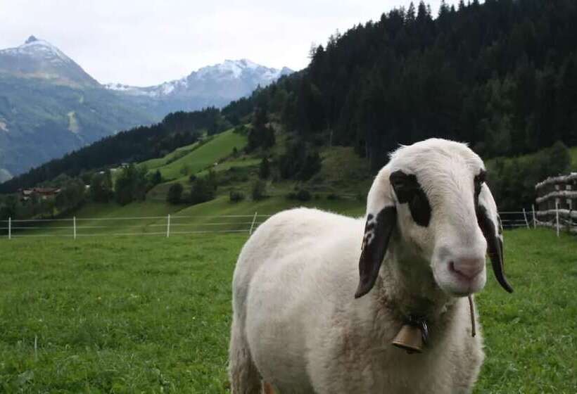 酒店 Zittrauerhof Urlaub Am Bauernhof Gastein