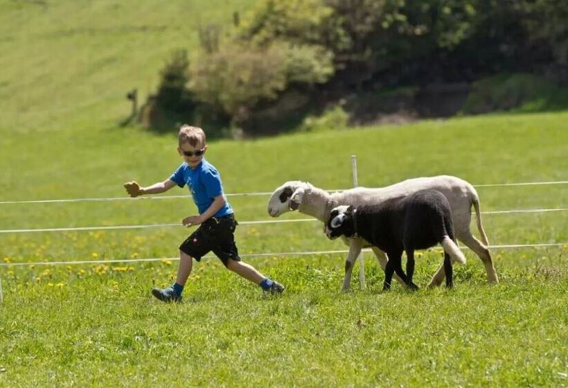 酒店 Zittrauerhof Urlaub Am Bauernhof Gastein