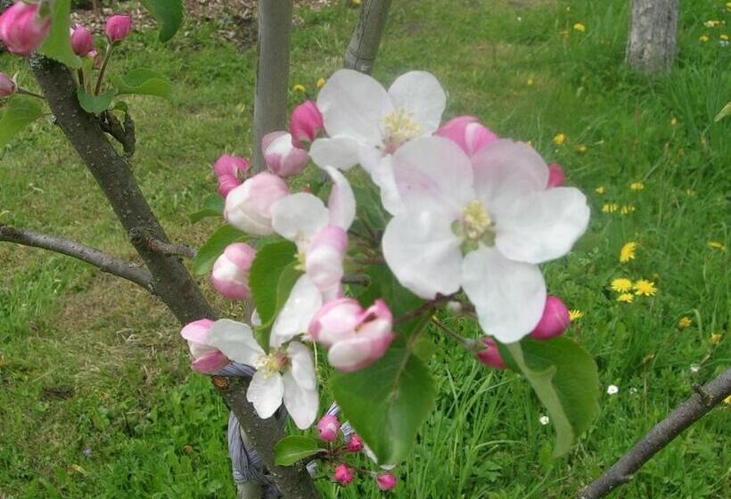 酒店 Zittrauerhof Urlaub Am Bauernhof Gastein