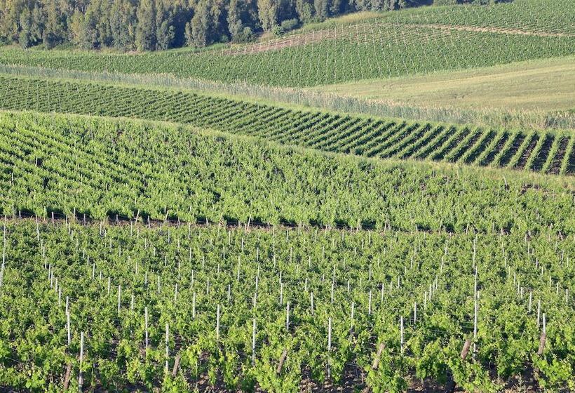 فندق La Foresteria Wine Resort & Beach Club