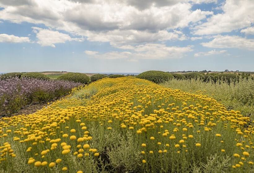 فندق La Foresteria Wine Resort & Beach Club
