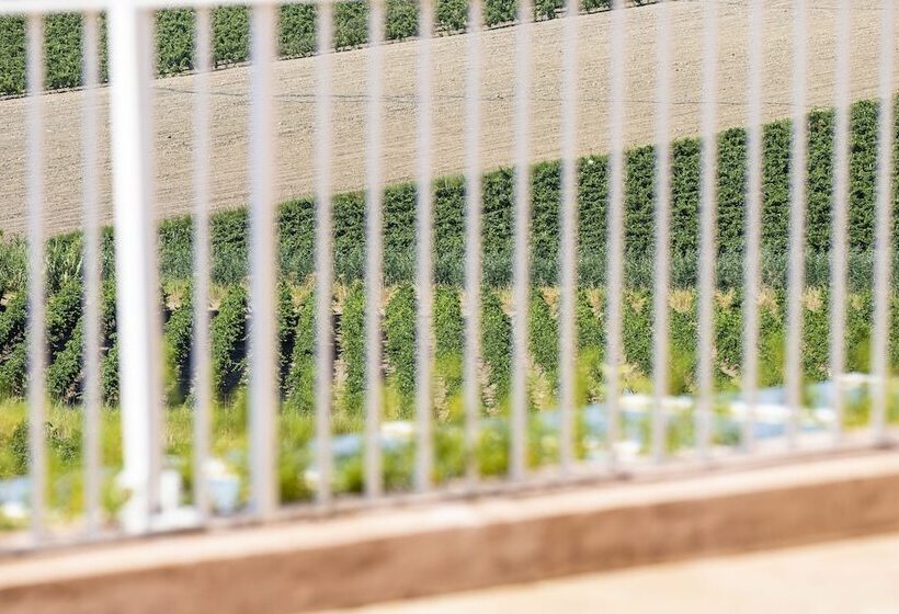 فندق La Foresteria Wine Resort & Beach Club