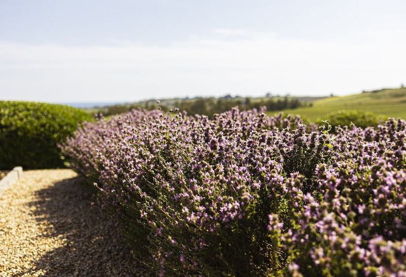 فندق La Foresteria Wine Resort & Beach Club