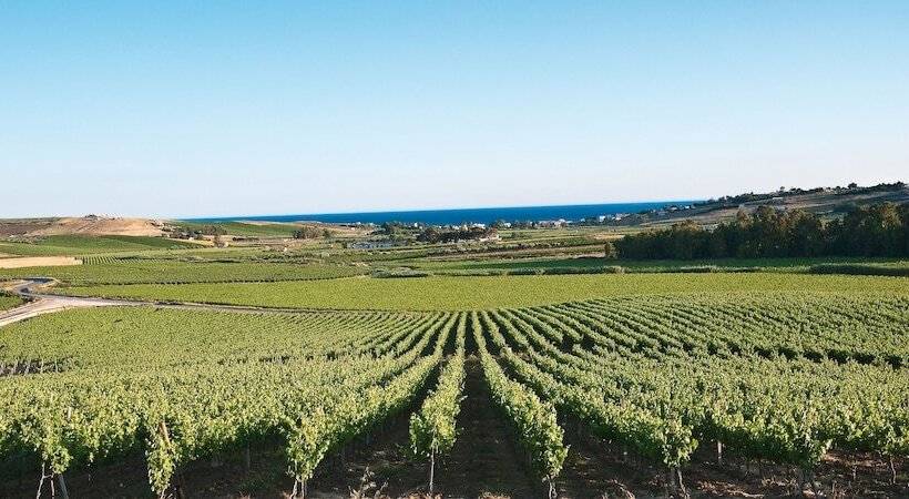 فندق La Foresteria Wine Resort & Beach Club