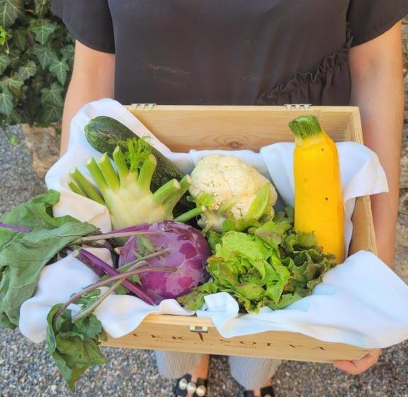 בית מלון כפרי Mein Matillhof