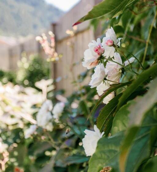 בית מלון כפרי Metzgerwirt