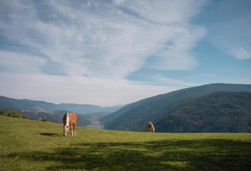 Panoramahotel Huberhof