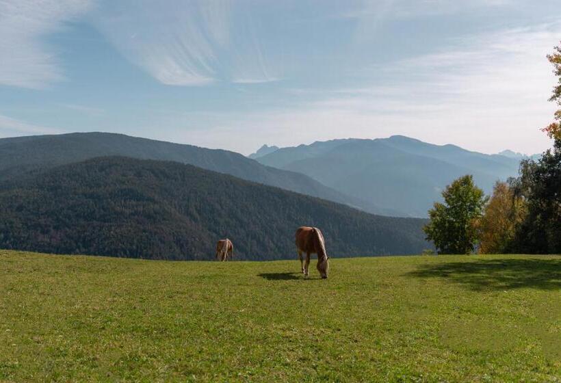 Panoramahotel Huberhof