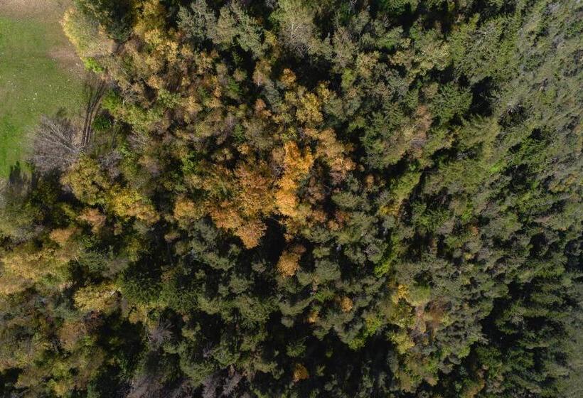 Panoramahotel Huberhof