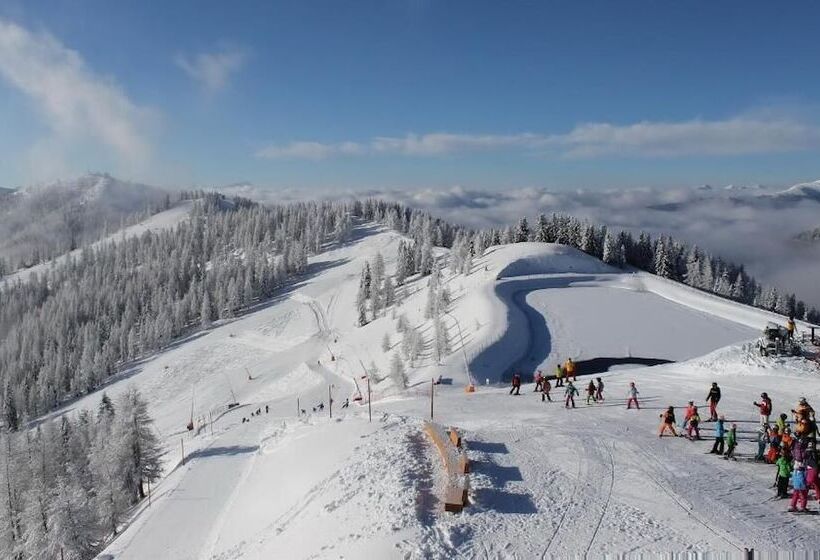 Отель Pension Hubertushof Beim Römerbad