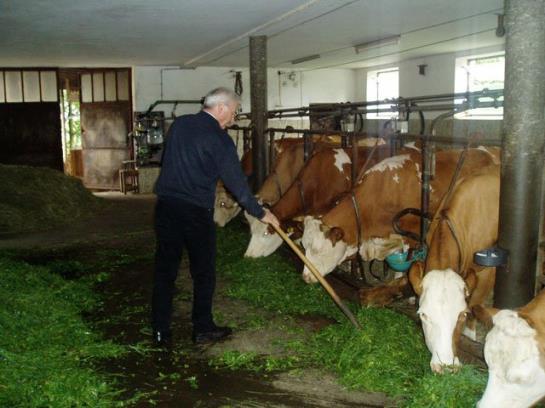 민박 Pension Puehringer
