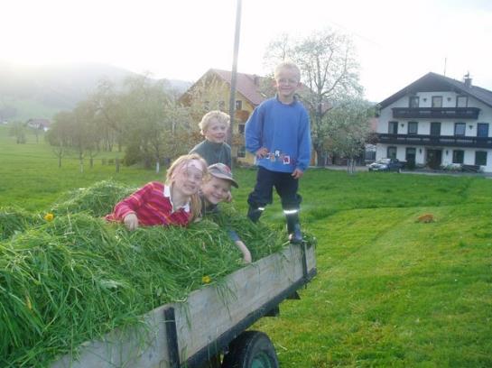 민박 Pension Puehringer