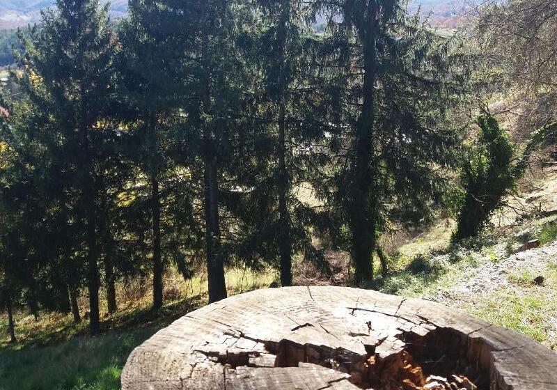 בית מלון כפרי Pinguino