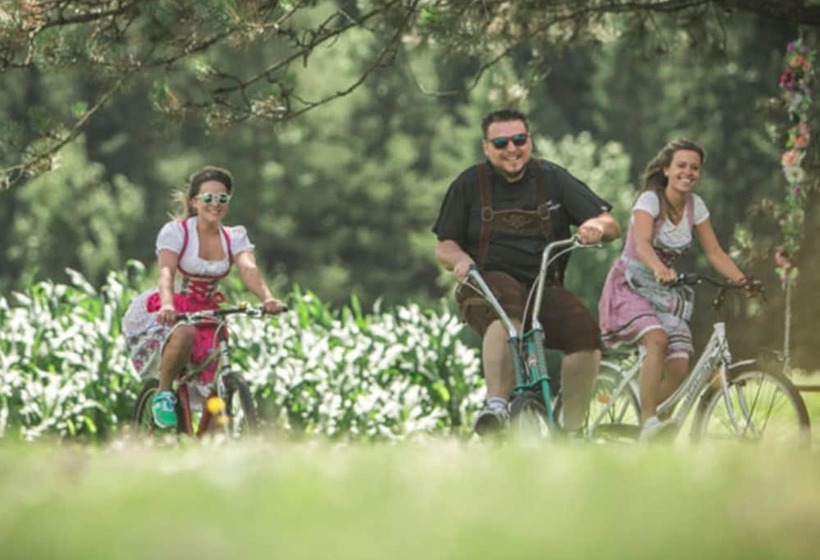 בית מלון כפרי Reichegger