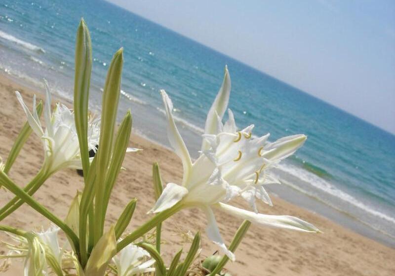 Отель Relais Casina Miregia