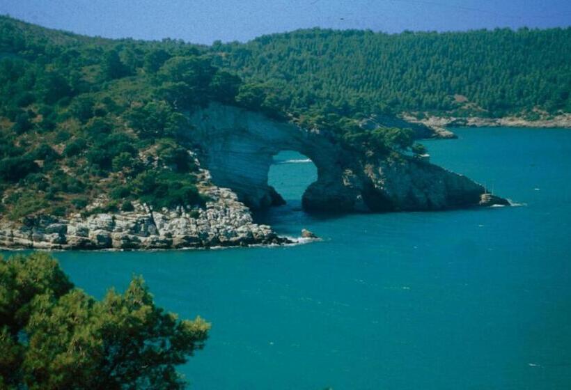 ホテル Relais Parallelo 41