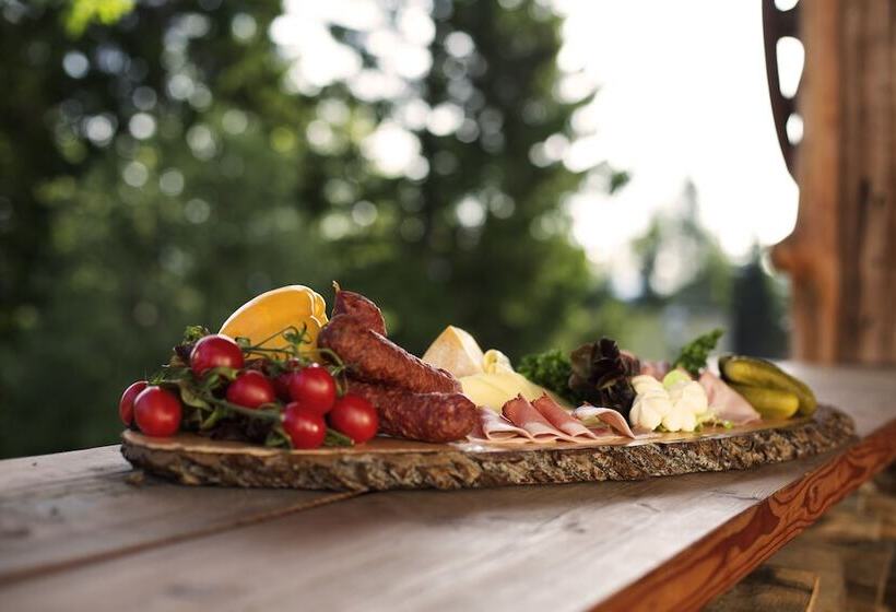 هتل Robinson Schlanitzen Alm   Hermagor