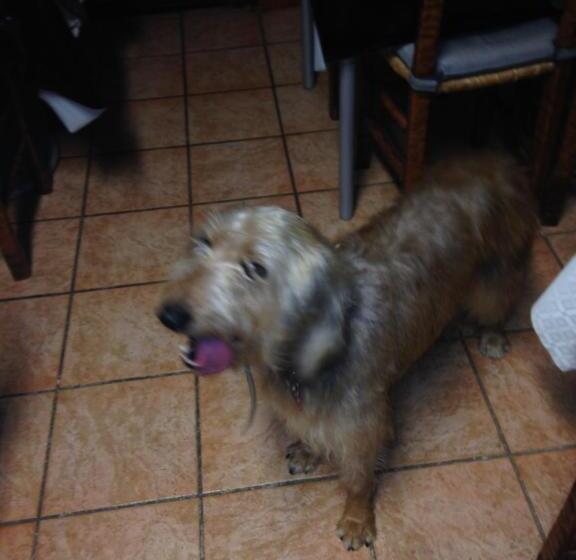 هتل San Desiderio