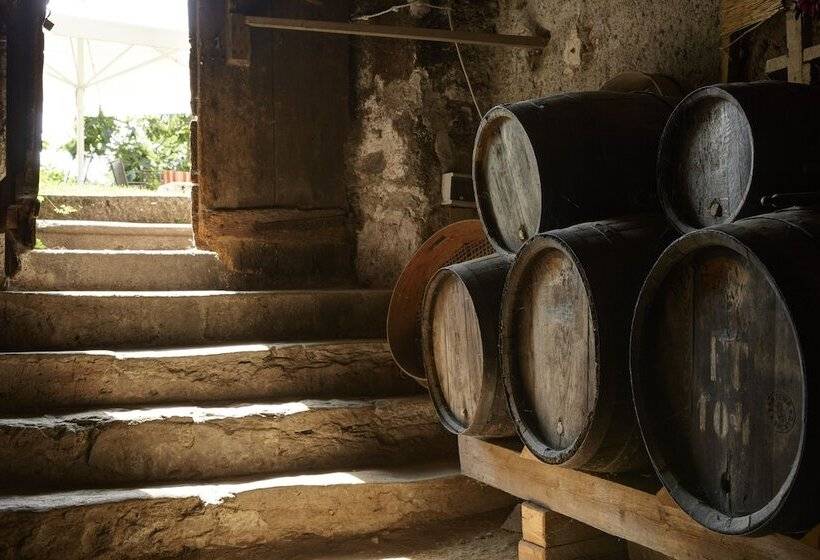 בית מלון כפרי Schloss Plars Wine & Suites