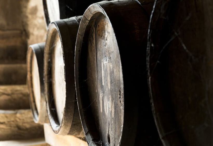 בית מלון כפרי Schloss Plars Wine & Suites