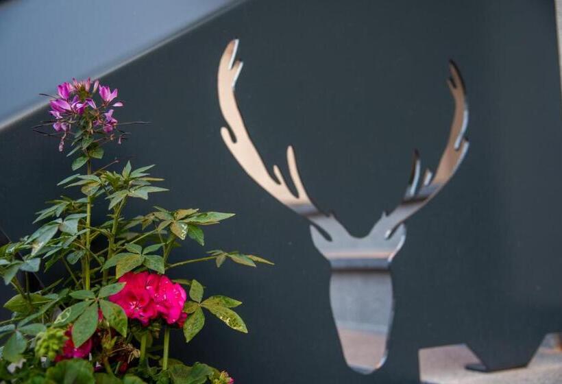 ホテル Schönis Land