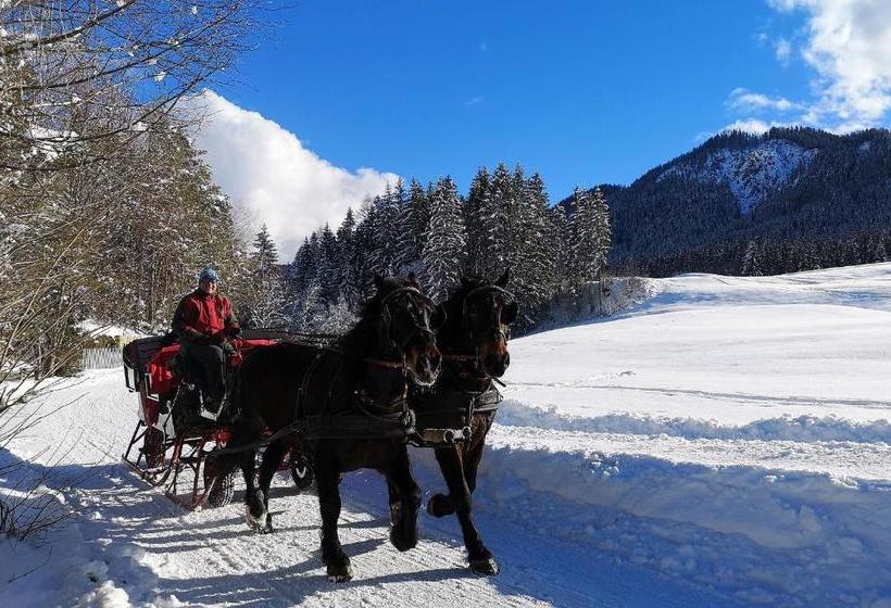 فندق Seehaus Winkler