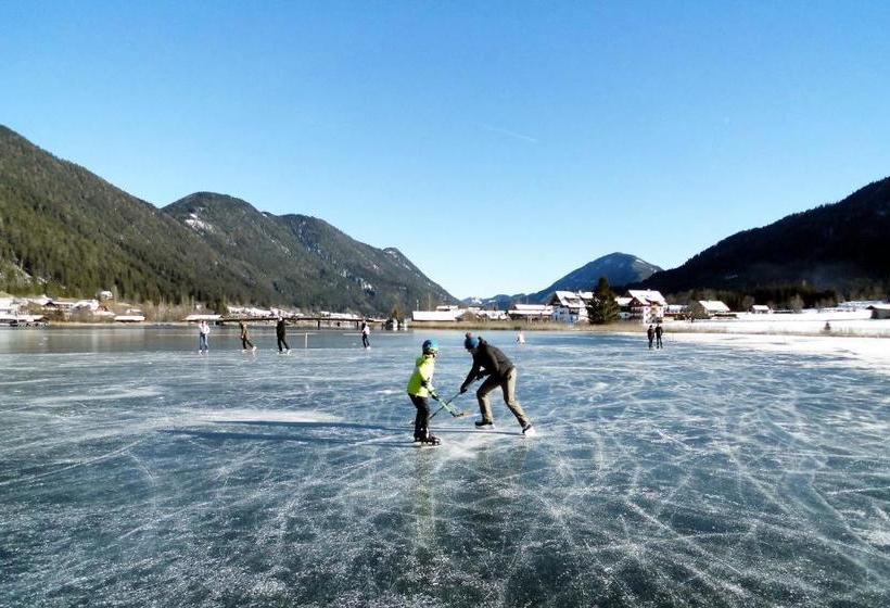 فندق Seehaus Winkler