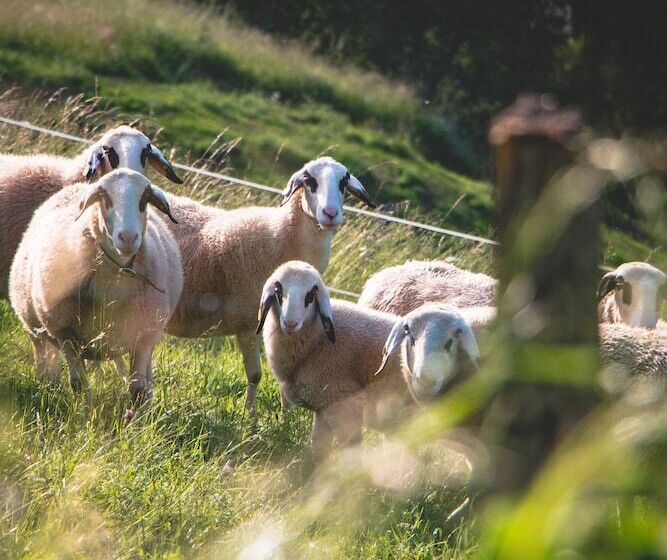 فندق Sportalm   Adults Only Boutique