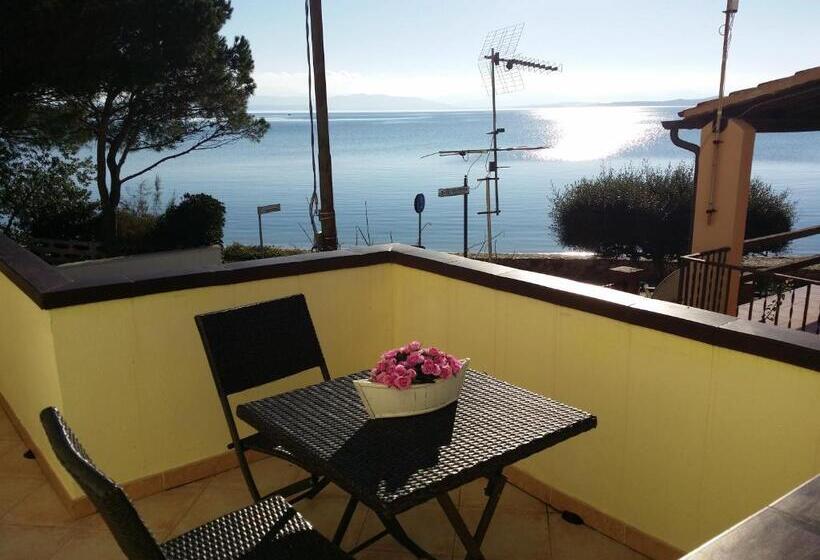 בית מלון כפרי Tabby