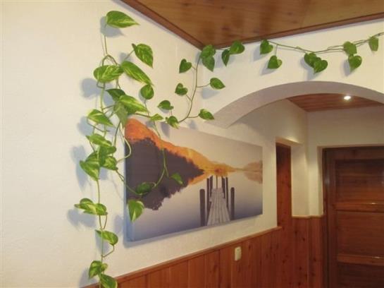 مبيت وإفطار Pension Tannhof