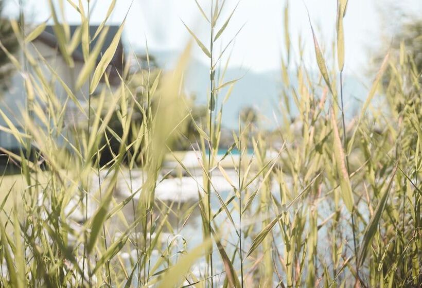 호텔 Tiefenbrunn Gardensuites & Breakfast