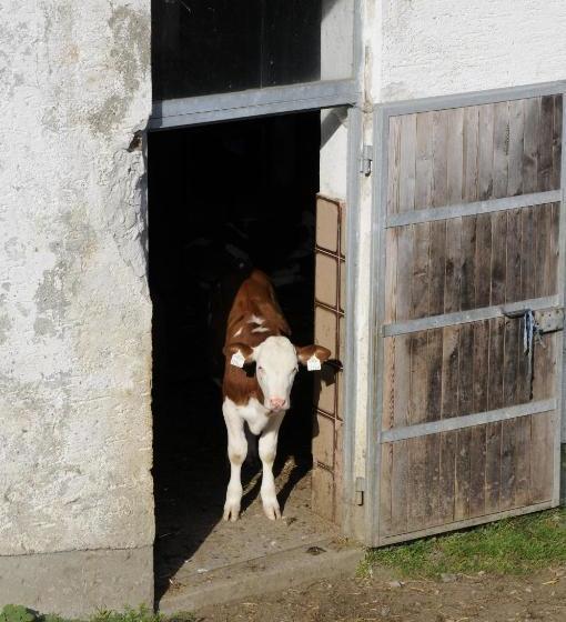 فندق Pension ötzmooshof