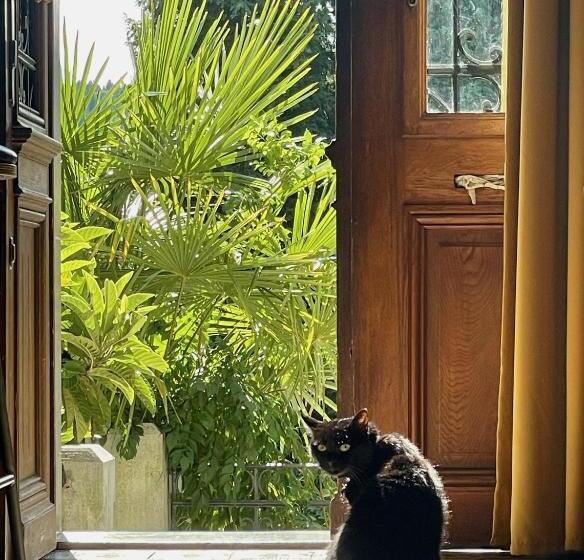 בית מלון כפרי Villa Parkschlössl