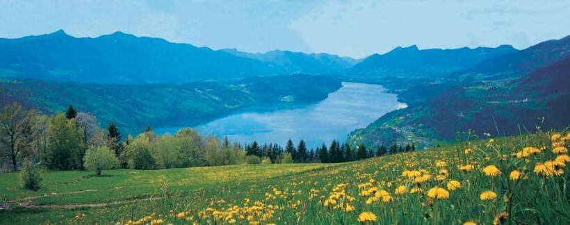 Отель Weidenhof