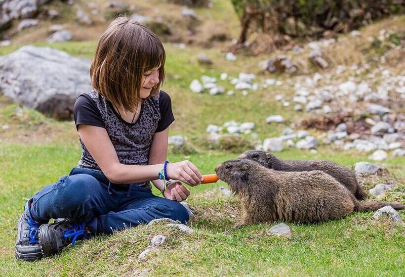 Landhotel Alpenhof Filzmoos