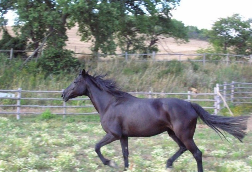 Le Murelle Country Resort