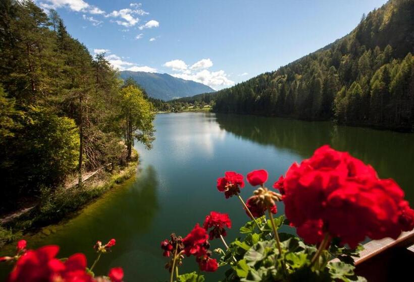 Parkhotel Tristachersee