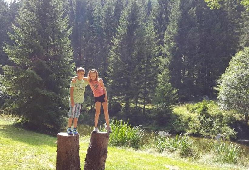 بنسيون Gasthof Thurnerhof