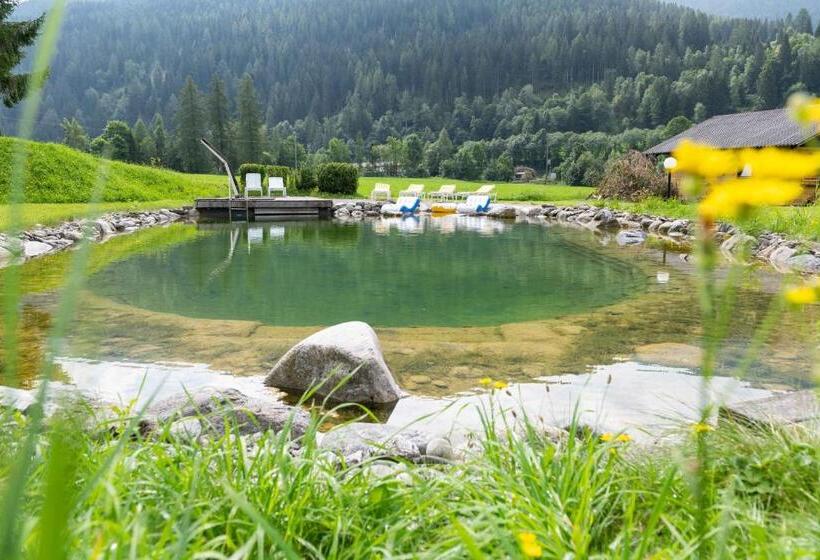 بنسيون Guesthouse Dalnig