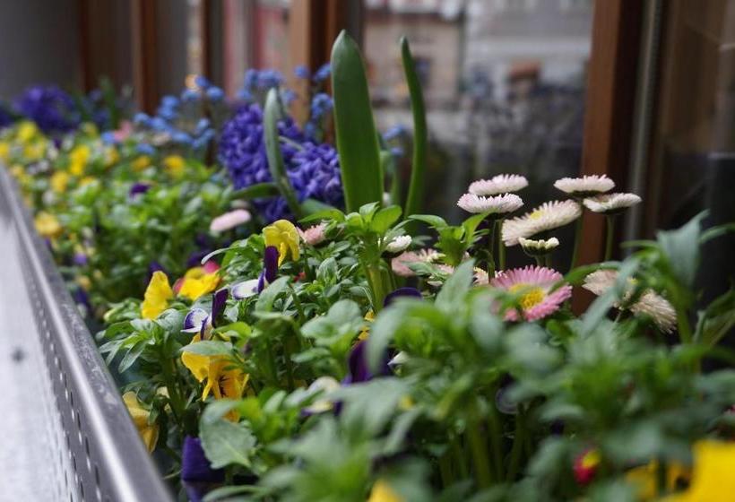 膳宿费 Jugendgästehaus Bad Ischl