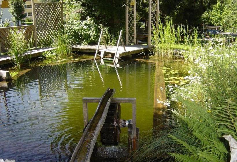 Pension & Appartement Steinwender