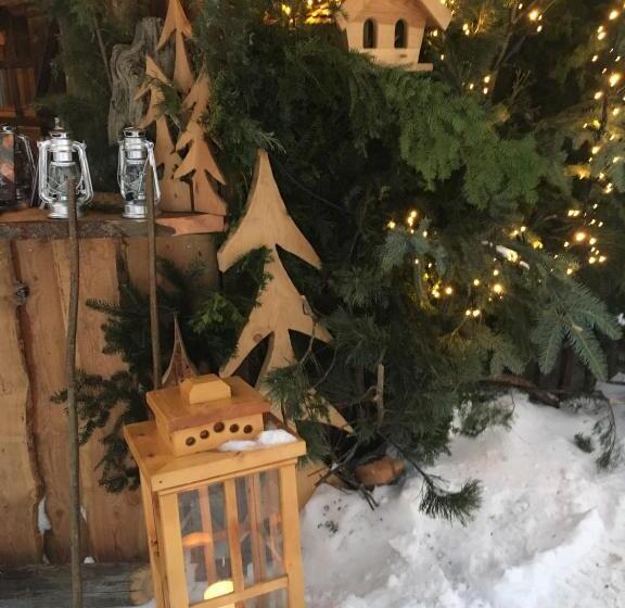 Pension & Appartements Ronacherhof