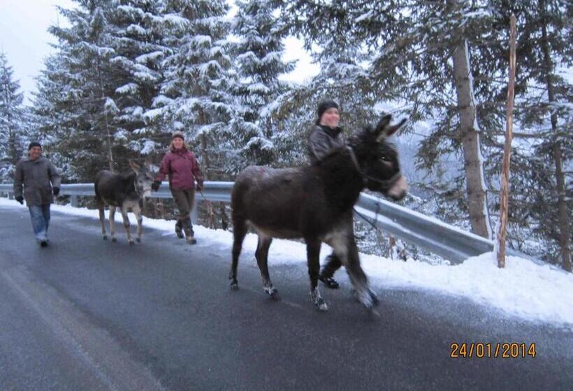 Rimmlhof & Rimmlstube