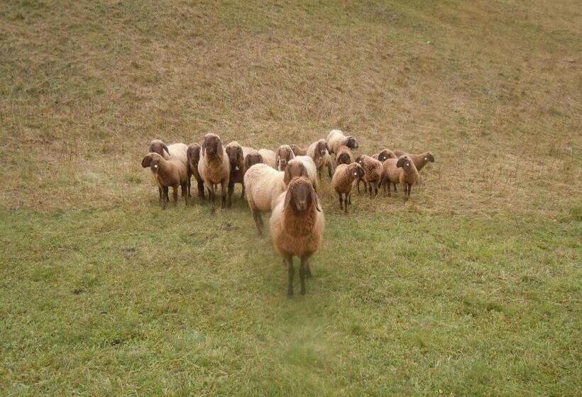 Rimmlhof & Rimmlstube